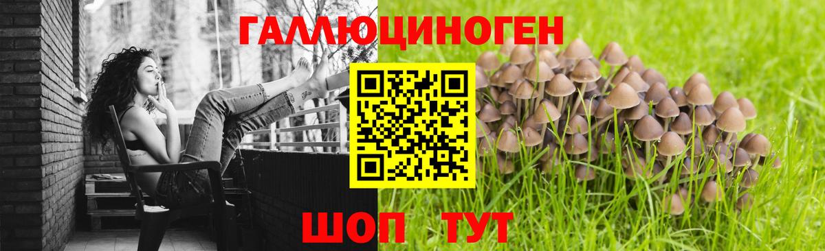 Боровичи  Псилоцибиновые грибы GOLDEN TEACHER  Вход с VPN 